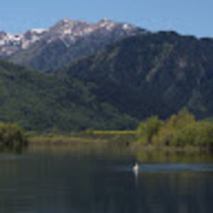 Meet your Posher, Bryant